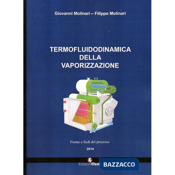 Termofluidodinamica della vaporizzazione. Modalità e componenti del processo