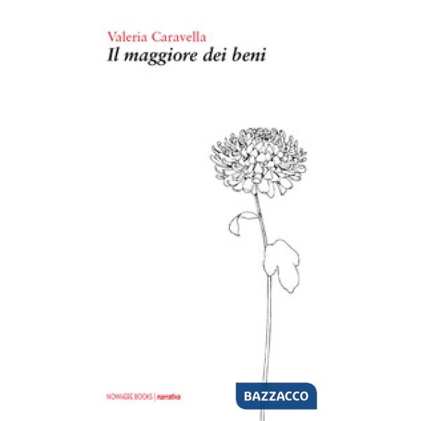 Maggiore dei beni (Il)