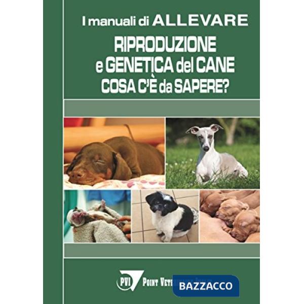 Riproduzione e genetica del cane: cosa c'è da sapere