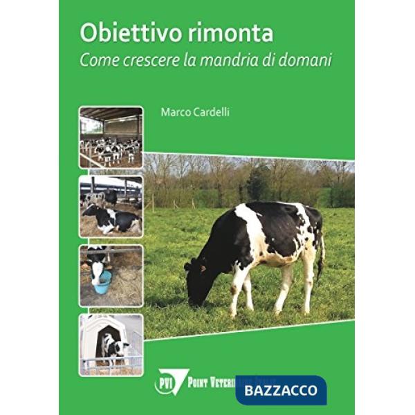 Obiettivo rimonta. Come crescere la mandria domani