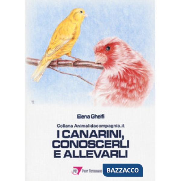 Canarini, conoscerli e allevarli (I)