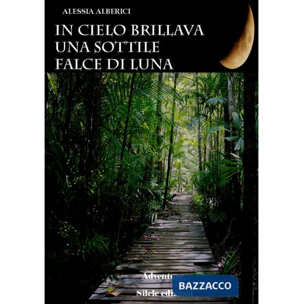 In cielo brillava una sottile falce di luna
