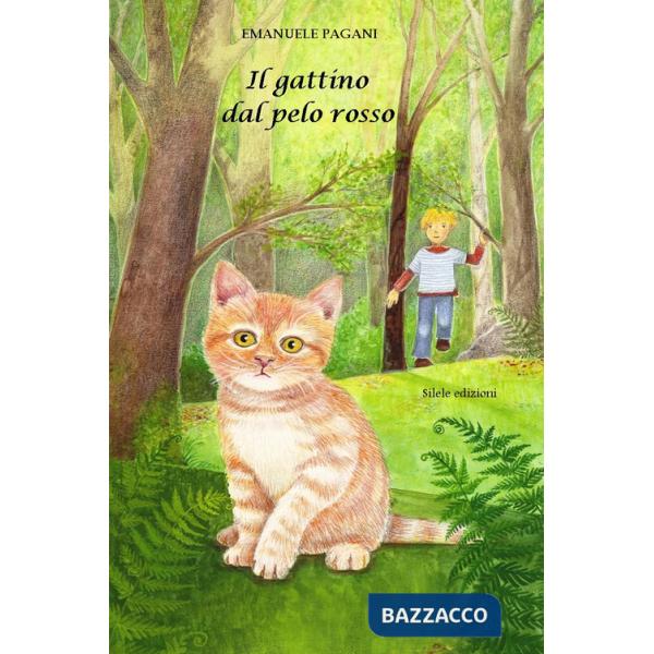 Gattino dal pelo rosso (Il)