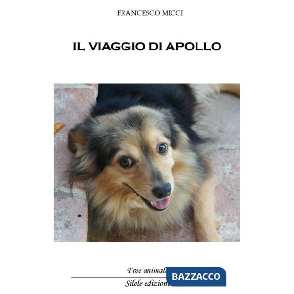 Viaggio di Apollo (Il)