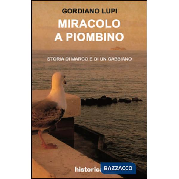 Miracolo a Piombino. Storia di Marco e di un gabbiano