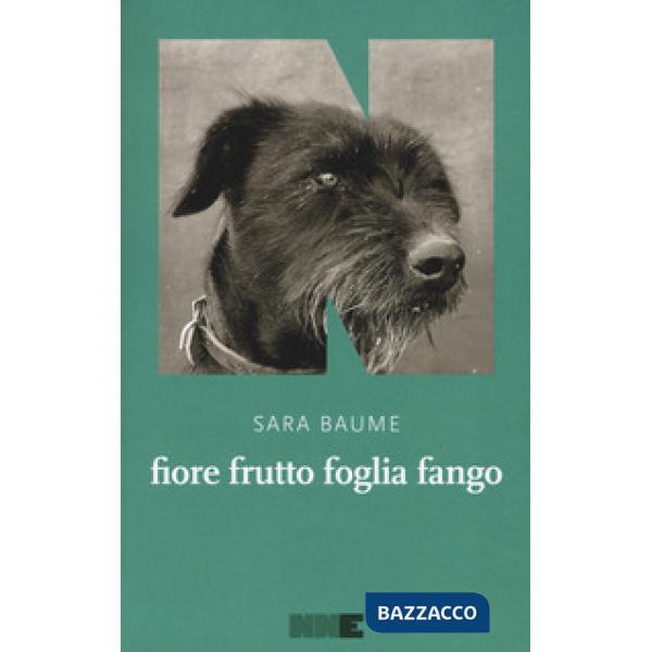 Fiore frutto foglia fango