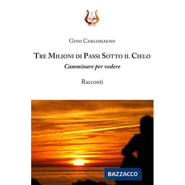 Tre milioni di passi sotto il cielo. Camminare per vedere