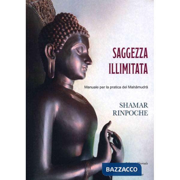 Saggezza illimitata. Manuale per la pratica del Mahàmudrà