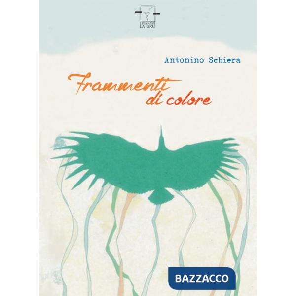 Frammenti di colore