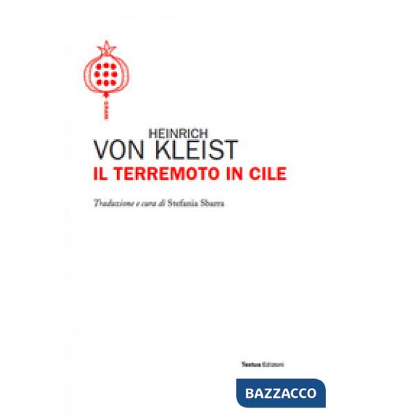 Terremoto in Cile (Il)