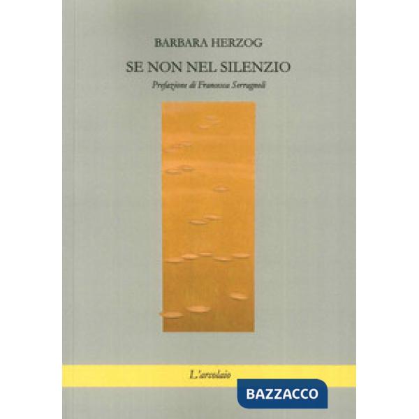 Se non nel silenzio