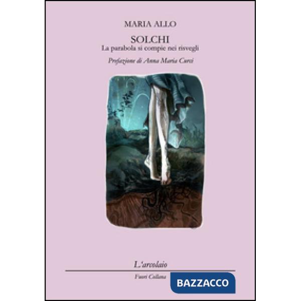 Solchi. La parabola si compie nei risvegli