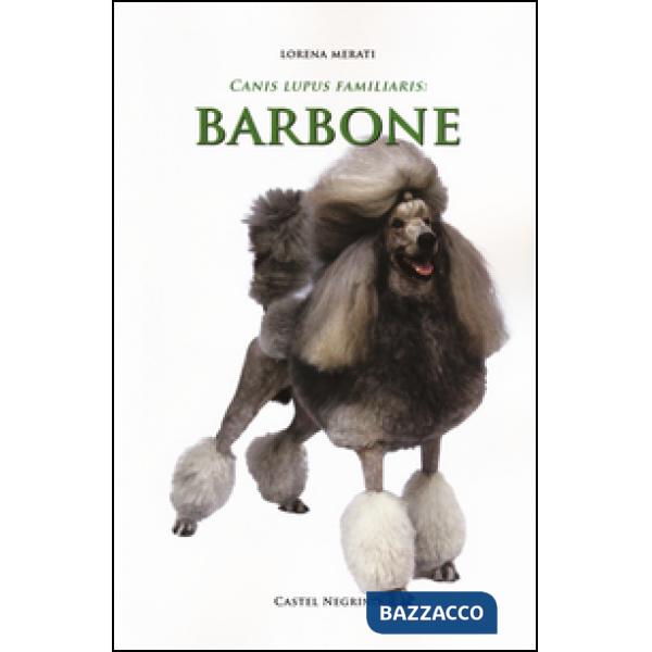 Barbone