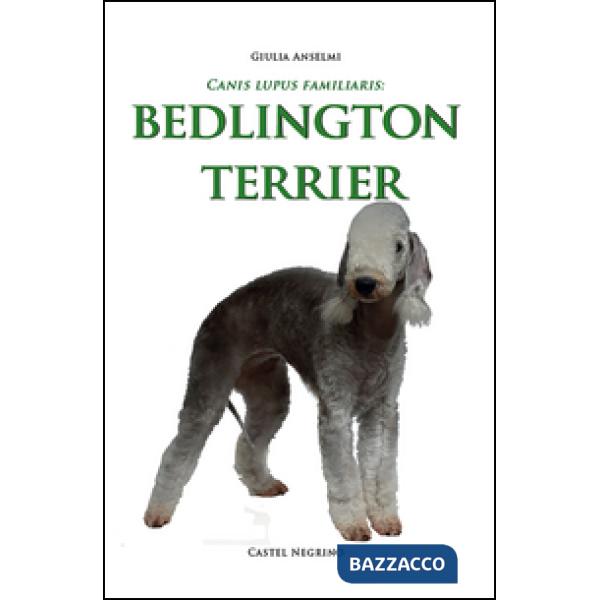 Bedlington Terrier