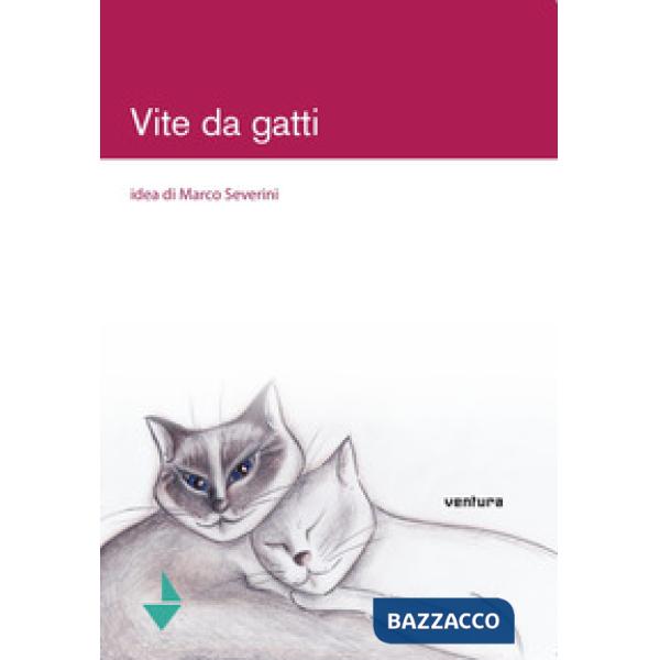 Vite da gatti