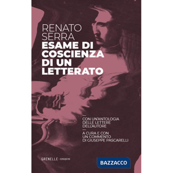 Esame di coscienza di un letterato. Con un'antologia delle lettere dell'autore