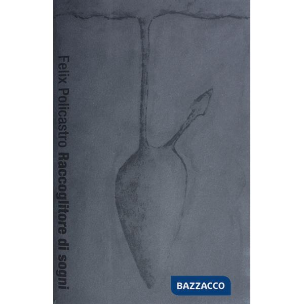 Raccoglitore di sogni. Ediz. illustrata