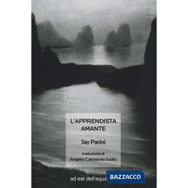 Apprendista amante (L')