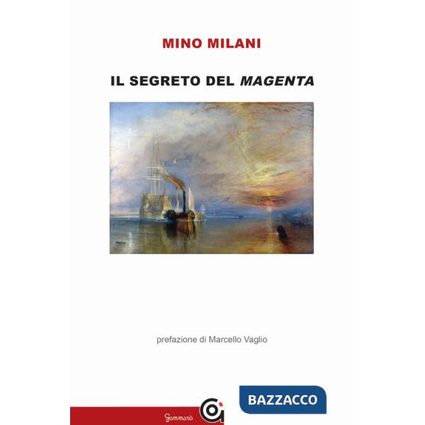 Segreto del Magenta (Il)