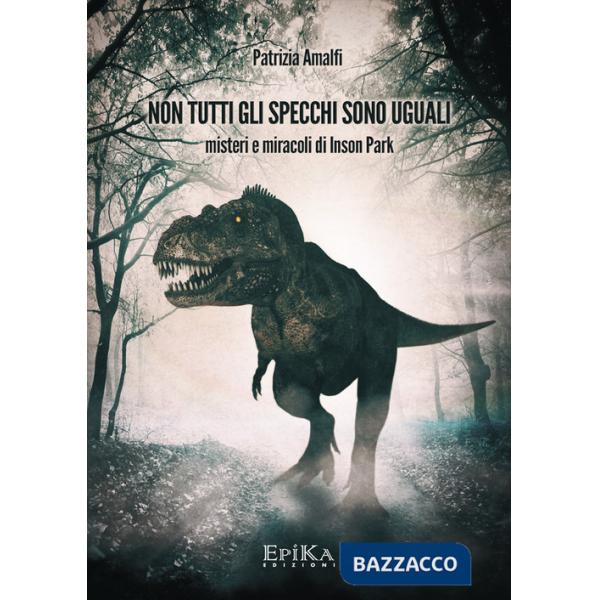 Non tutti gli specchi sono uguali. Misteri e miracoli di Inson Park