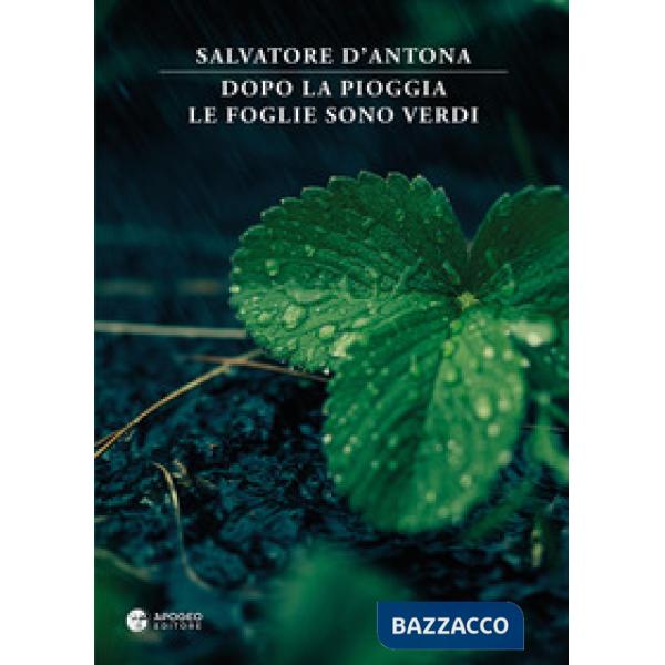 Dopo la pioggia le foglie sono verdi