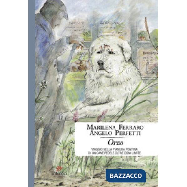 Orzo. Viaggio nella pianura pontina di un cane fedele oltre ogni limite