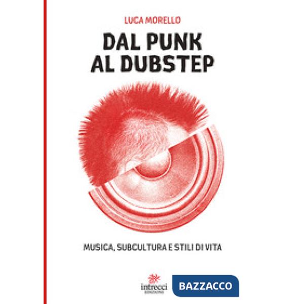 Dal punk al dubstep. Musica, subcultura e stili di vita