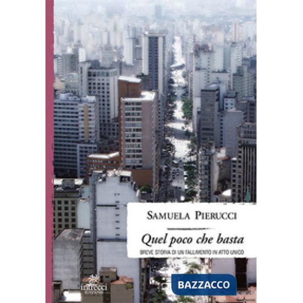Quel poco che basta. Breve storia di un fallimento in atto unico