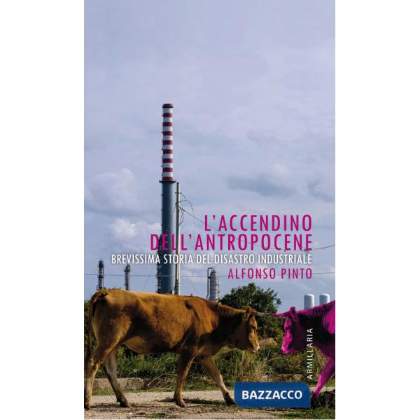 Accendino dell'Antropocene. Brevissima storia del disastro industriale (L')