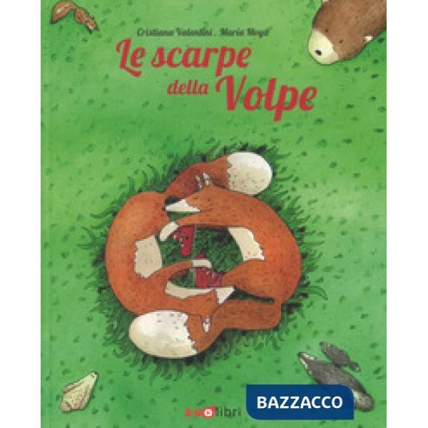 Scarpe della volpe. Ediz. a colori (Le)