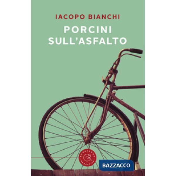 Porcini sull'asfalto