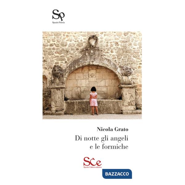 Di notte gli angeli e le formiche