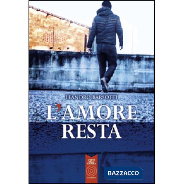 Amore resta (L')