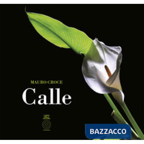 Calle. Ediz. italiana e inglese