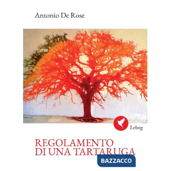 Regolamento di una tartaruga