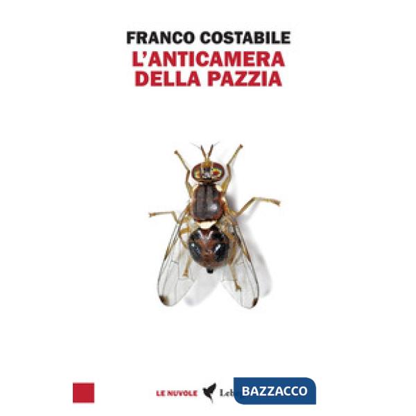 Anticamera della pazzia. Inchieste e articoli pubblicati nel 1962 sul quotidiano «Il Paese» (L')