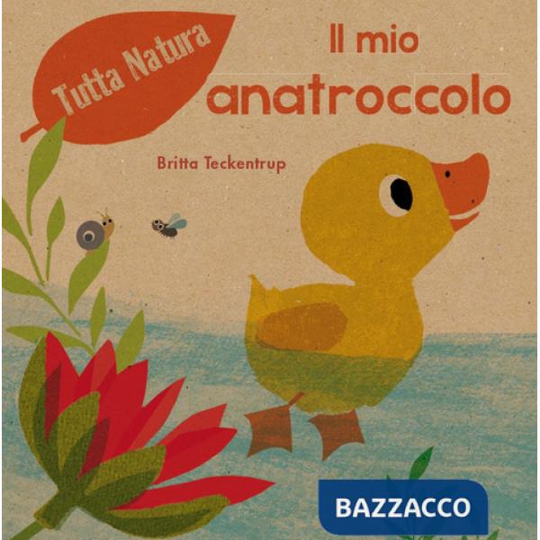 Mio anatroccolo. Ediz. a colori (Il)