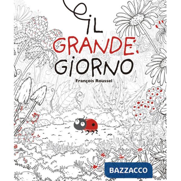 Grande giorno. Ediz. a colori (Il)