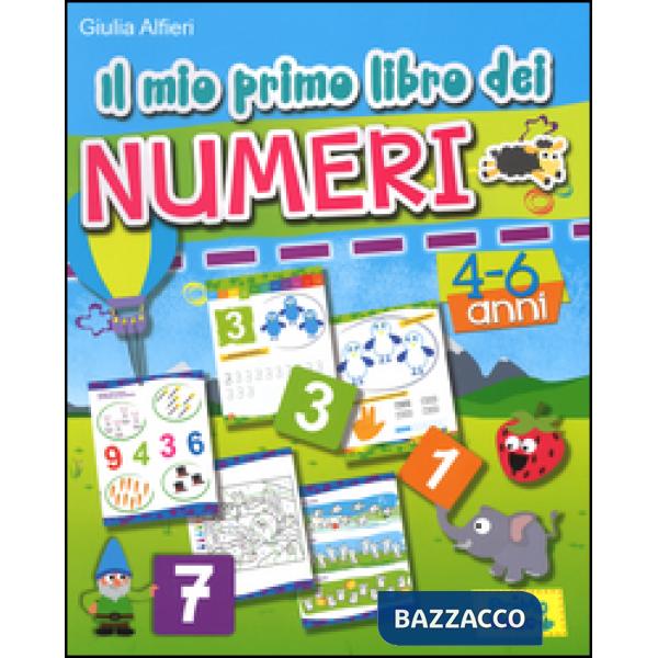 Mio primo libro dei numeri. Ediz. a colori (Il)