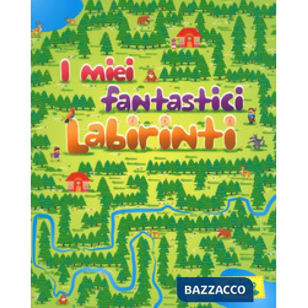 Miei fantastici labirinti. Ediz. a colori (I)