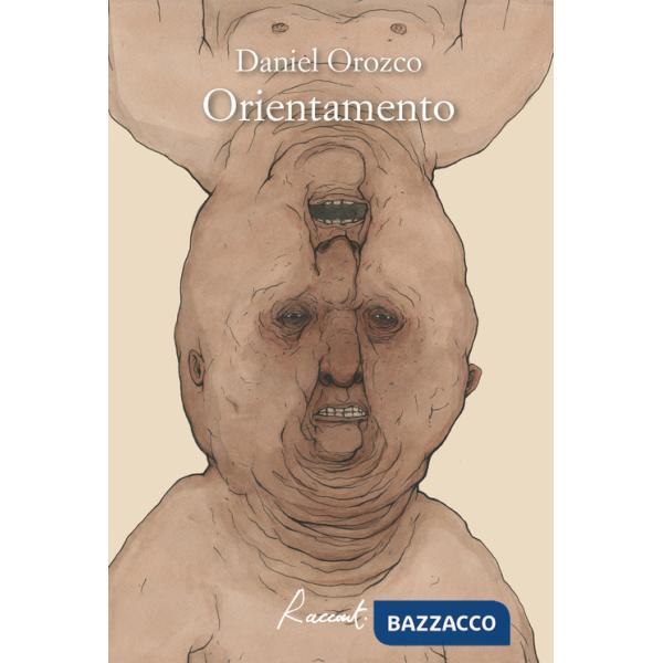 Orientamento