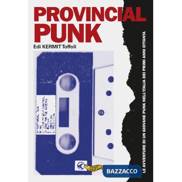 Provincial punk. Le avventure di un giovane punk nell'Italia dei primi anni ottanta