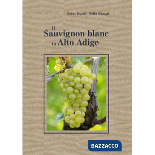 Sauvignon blanc in Alto Adige (Il)