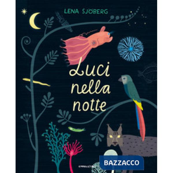 Luci nella notte