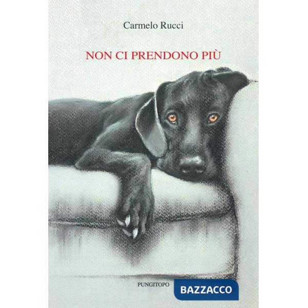 Non ci prendono più