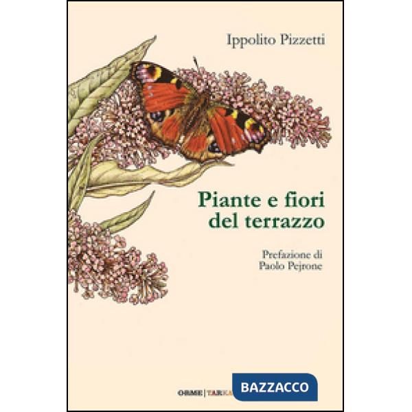 Piante e fiori del terrazzo