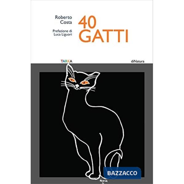 40 gatti. Ediz. a colori