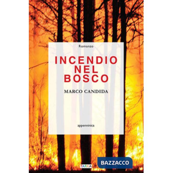 Incendio nel bosco