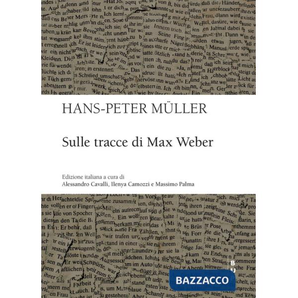 Sulle tracce di Max Weber