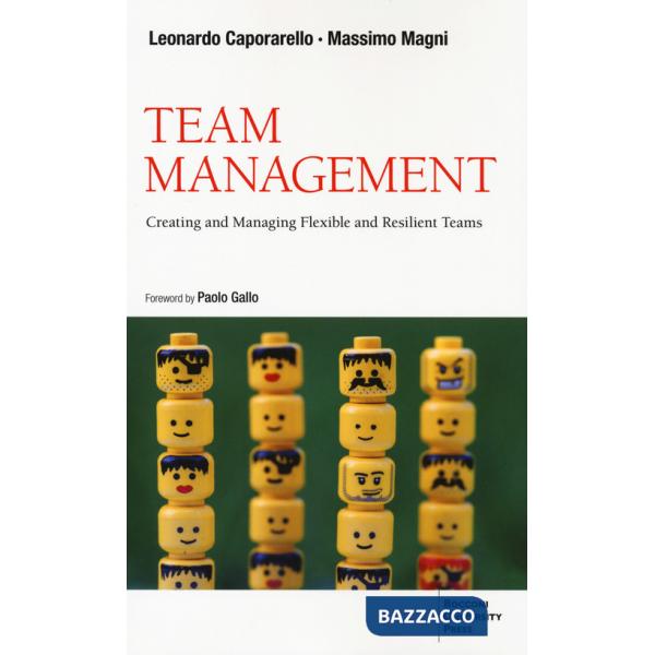 Team management. Come gestire e migliorare il lavoro di squadra